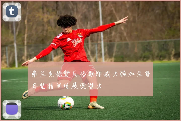 弗兰克称赞瓦格勒即战力强加兰每日坚持训练展现潜力