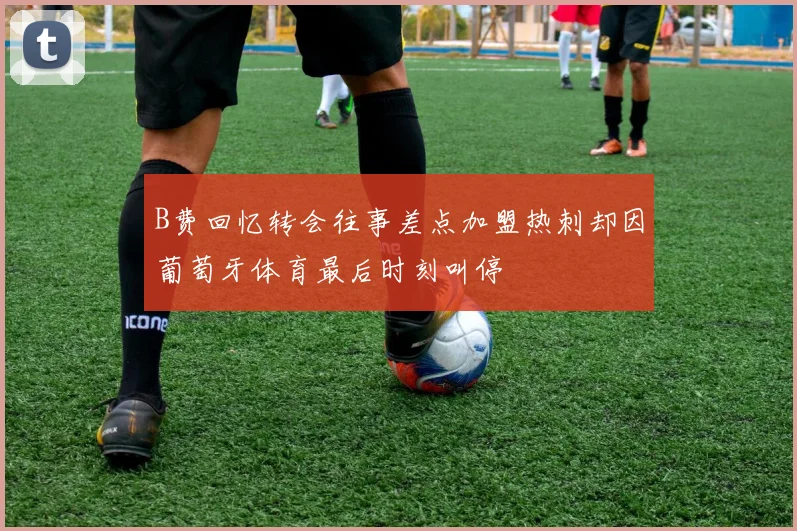 B费回忆转会往事差点加盟热刺却因葡萄牙体育最后时刻叫停